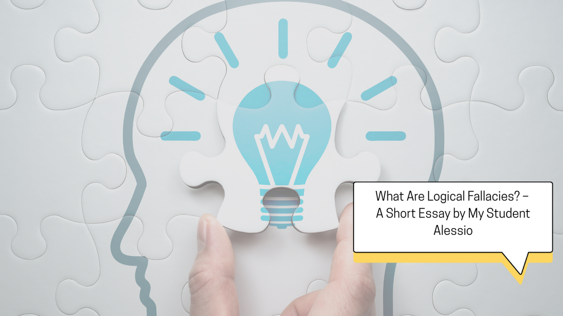 What Are Logical Fallacies? – A Short Essay by My Student Alessio